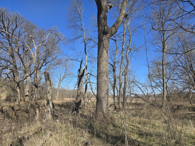 Listing photo 6